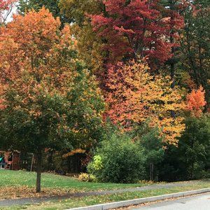 Meet your Posher, Kristin